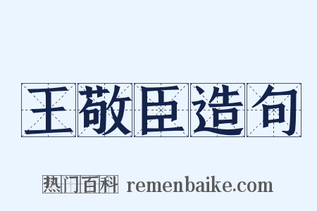 王敬臣造句是什么意思的图片